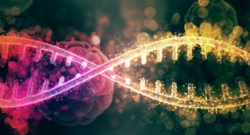 Logran construir una mapa inédito del genoma humano