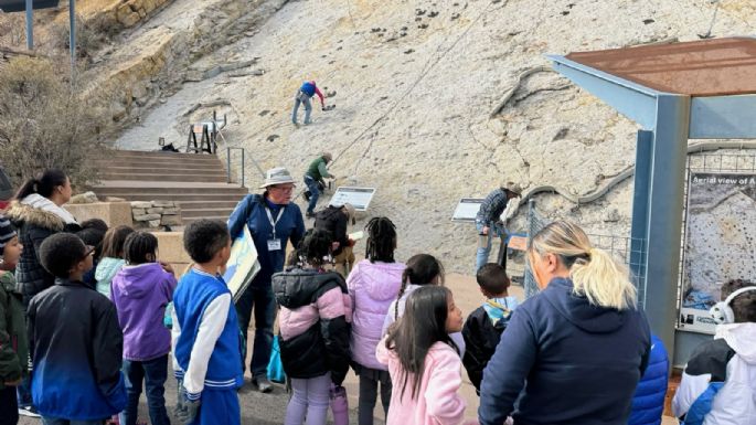 Los dinosaurios también bailaban para seducir: las pruebas