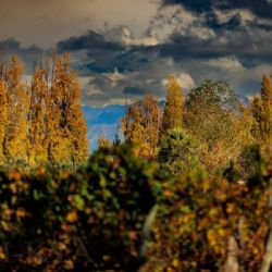 Mejora el tiempo en Mendoza y sube la temperatura