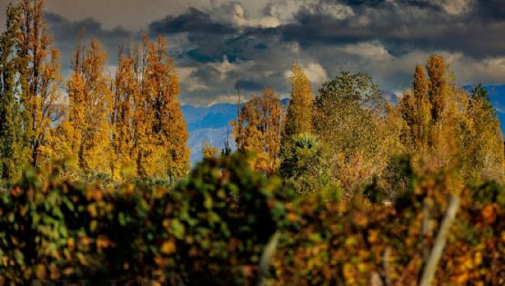 Mejora el tiempo en Mendoza y sube la temperatura