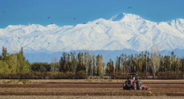 El sábado regresará el Zonda a Mendoza 