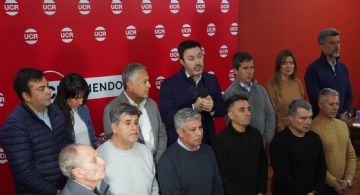 Qué lugares le quedaron a Petri en las listas de la UCR