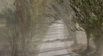 Zonda: suspendieron las clases presenciales en Malargüe