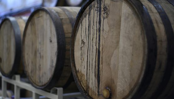 Vitivinicultura: productores y bodegas aseguran que trabajan a pérdida