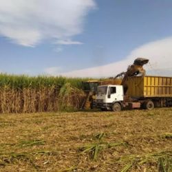 Azucareros argentinos en pie de guerra contra una propuesta de Lula 