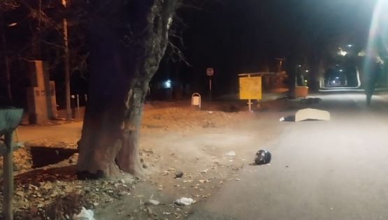 Un motociclista murió al chocar contra un árbol