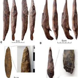 Sin precedentes: descubren herramientas de hace 300 mil años