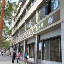 El fuerte impacto que tendrá en Mendoza la última medida de Milei