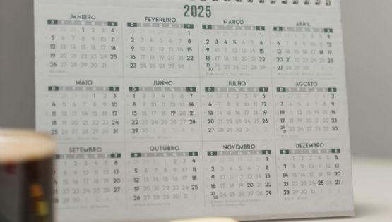 Post 9 de Julio: cuántos fines de semana largos le quedan al 2025