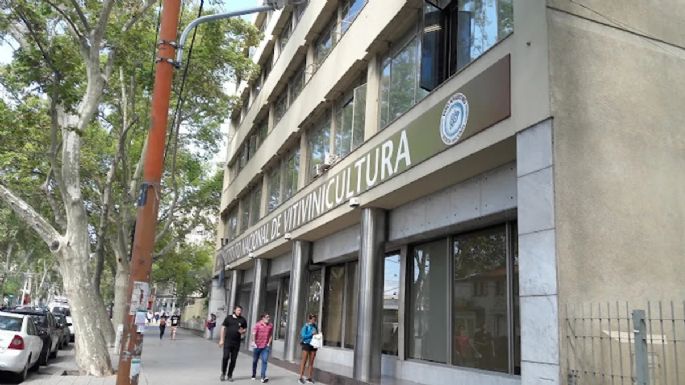 Cambios en el INV: la posición de la vitivinicultura argentina