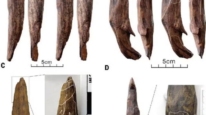 Sin precedentes: descubren herramientas de hace 300 mil años