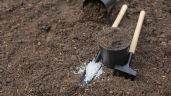 Foto ilustrativa de la nota titulada: Cenizas en el jardín: un fertilizante natural para tus plantas