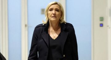 Investigan al partido de Le Pen por irregularidades financieras