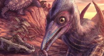 Hallan el fósil del dinosaurio más antiguo de Norteamérica