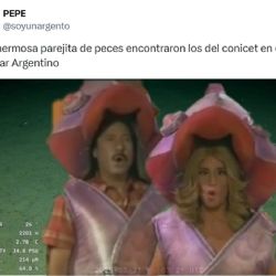 Sigue la locura por el streaming del Conicet y las redes se llenaron de memes