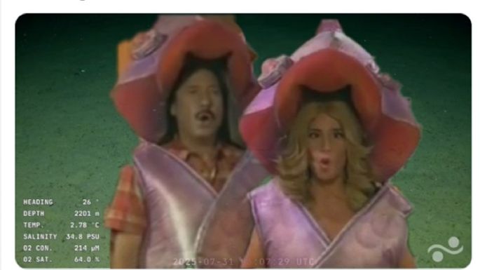 Sigue la locura por el streaming del Conicet y las redes se llenaron de memes