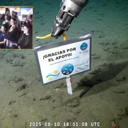 Con un emotivo video, los científicos del Conicet agradecieron el apoyo de los argentinos