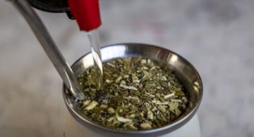 Yerba mate: advierten que el sector “está en riesgo”