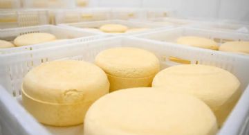 Brote de listeriosis por el consumo de un queso contaminado