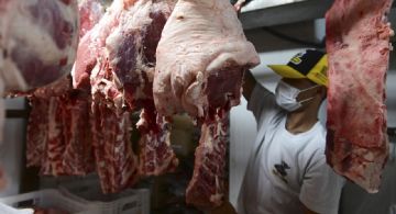 Para acumular dólares, también eliminan retenciones a la carne