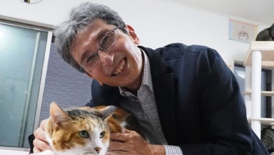 El “gen naranja”: la mutación que explica el misterio de los gatos
