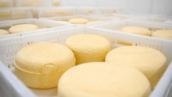 Brote de listeriosis por el consumo de un queso contaminado