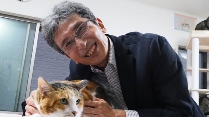 El “gen naranja”: la mutación que explica el misterio de los gatos