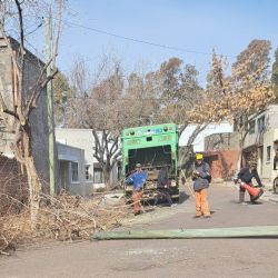 Reportan caos en un barrio de Luján por la poda de árboles