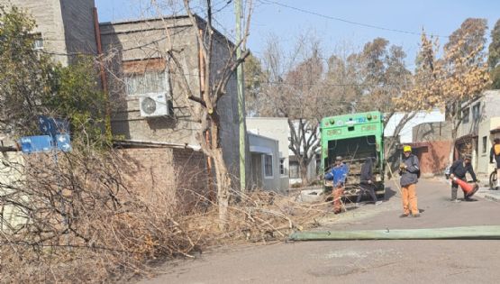 Reportan caos en un barrio de Luján por la poda de árboles