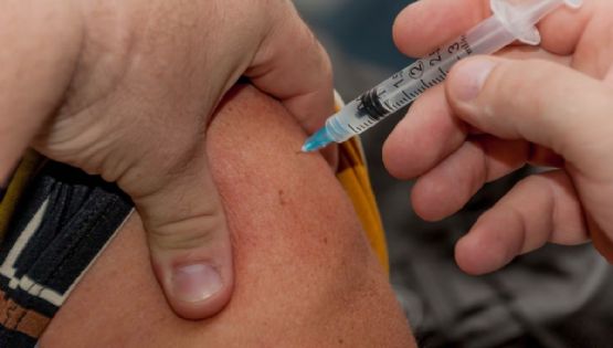 Mendocinos deberán pagar la vacuna contra la fiebre amarilla para viajar a Brasil
