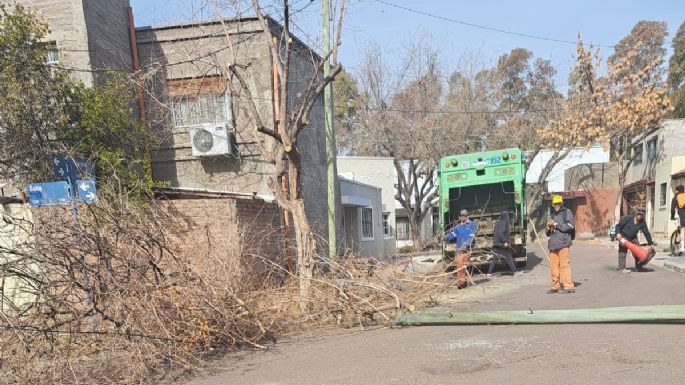 Reportan caos en un barrio de Luján por la poda de árboles