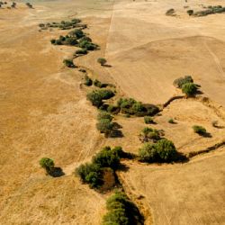 Falla de San Andrés: un estudio enciende alarmas sobre el "gran terremoto"