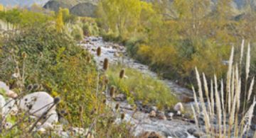 El lugar ideal para descansar y conocer más sobre San Martín