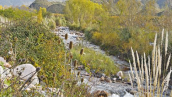 El lugar ideal para descansar y conocer más sobre San Martín