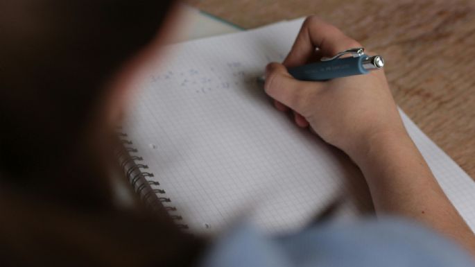Según un estudio, Mendoza tiene menor nivel educativo que la media nacional