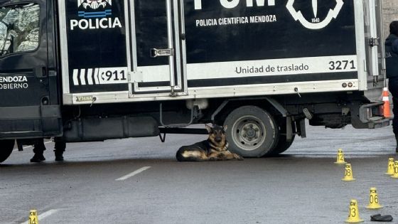 Encontraron a una mujer muerta en una casa de San Martín 