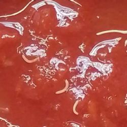 Encontraron gusanos en una salsa de tomate mendocina