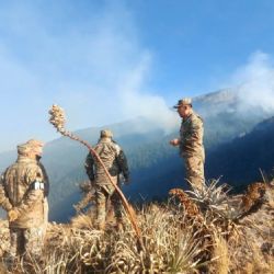 Bolivia declara la emergencia ante los incendios forestales