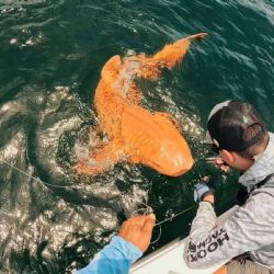 Hallaron al primer tiburón nodriza naranja del mundo