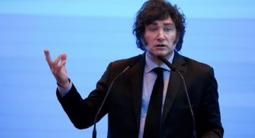 Milei preocupado por la concurrencia a las urnas