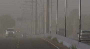 El paso del Zonda provocó daños e incendios forestales en varios departamentos 