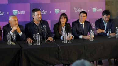 Foto iliustrativa de  Así votaron los 10 diputados mendocinos el fin del régimen de Zonas Frías