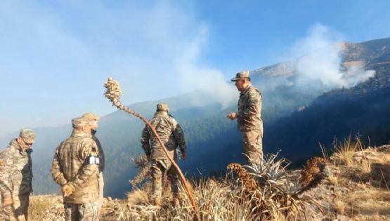 Bolivia declara la emergencia ante los incendios forestales