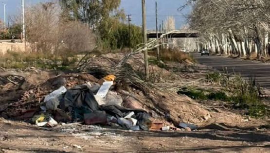 El deplorable estado de una calle en Luján de Cuyo con un pozo que es un peligro inminente