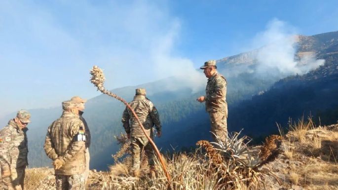 Bolivia declara la emergencia ante los incendios forestales