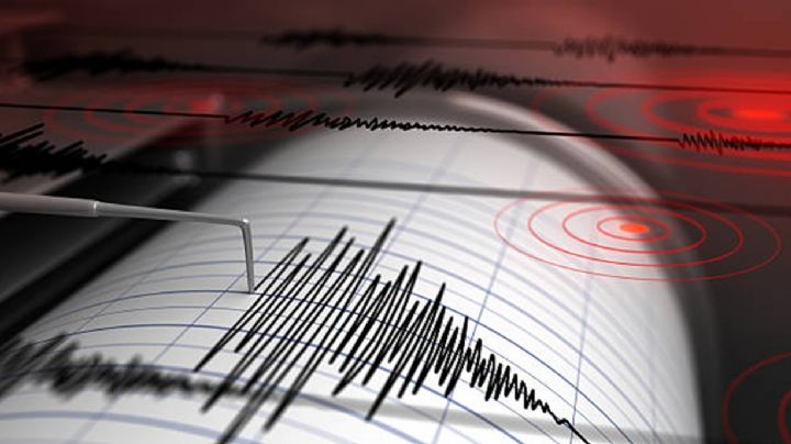 Un fuerte temblor en Mendoza se sintió en San Juan y Chile