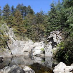 Los paisajes patagónicos de esta provincia te van a enamorar