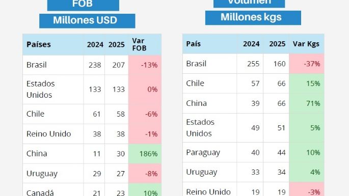 Las exportaciones mendocinas a Brasil se derrumbaron 37% en el primer semestre