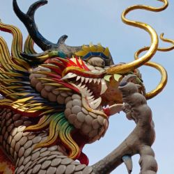 Horóscopo chino: un martes de energía 