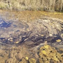 Irrigación destituyó y multó a la inspectora que denunció contaminación en Lunlunta